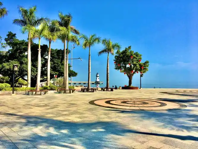 广州珠海的景色和动物美姿