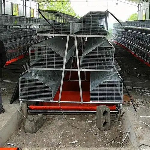 免清粪兔笼兔子笼图片-兔子笼-临沂云蒙湖笼具厂