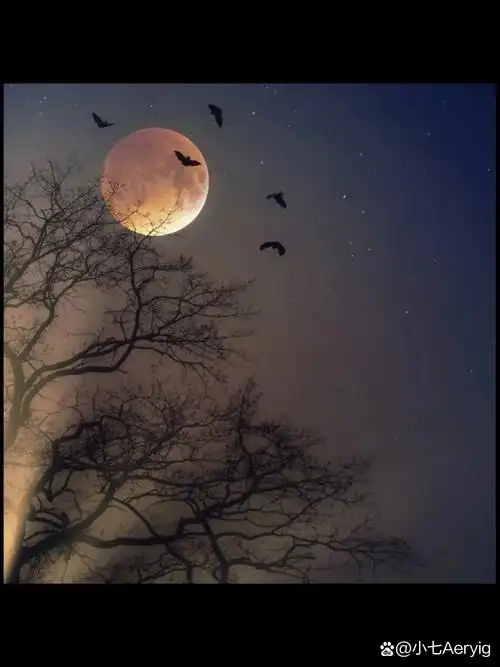 这两张图可以当背景,真的好好看