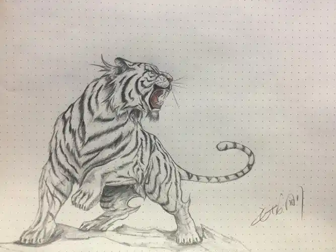 心有猛虎 老虎一枚