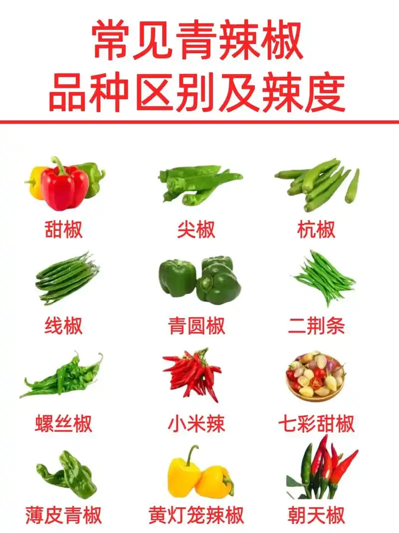 有农友说辣椒品种看的眼花缭乱,那就浅浅整理一下#记录三农 # - 抖音