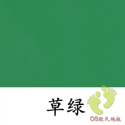 草绿色专业舞蹈地板