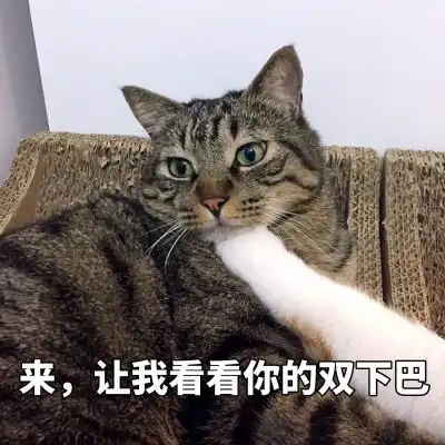 汤姆猫沙雕头像