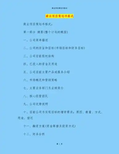 商业项目策划书格式.docx