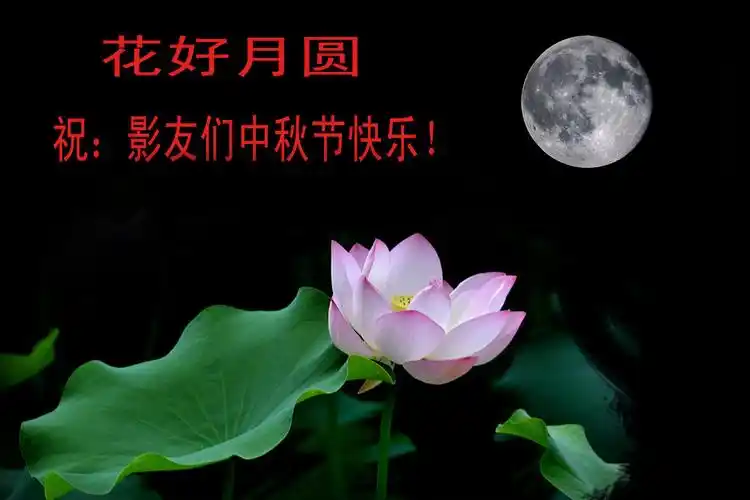 【花好月圆】祝影友们中秋节快乐