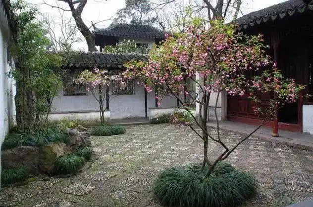 红配绿其实很美丽