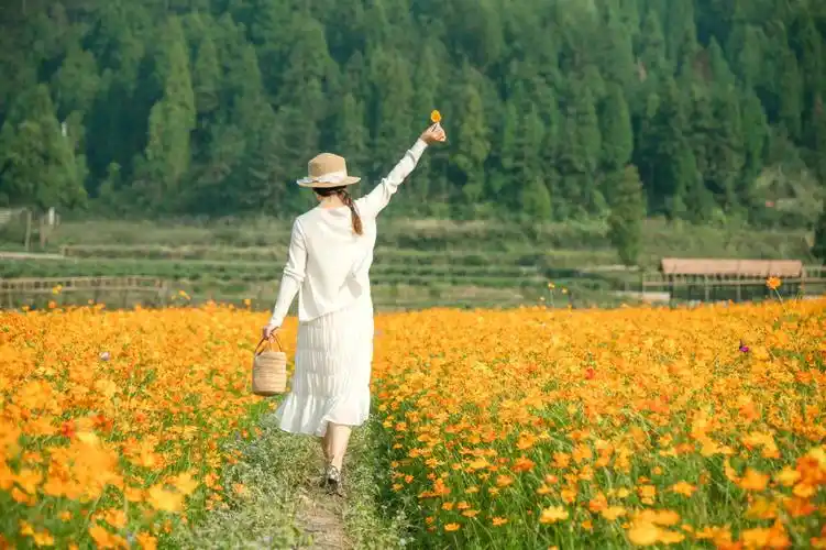 939393今天分享的图片是千库网文艺小清新风格的素材,可以用作