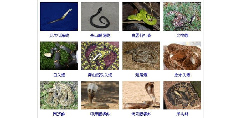 养殖蛇名字大全起名(养殖蛇名字大全起名男)