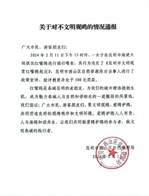 女子在海埂大坝抓海鸥强行喂食官方通报罚500元