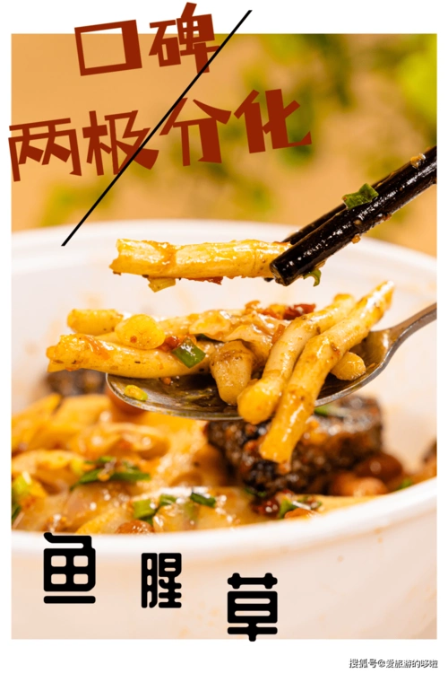 车陂这碗湘西泡菜.绝!