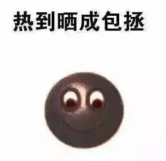 热到晒成包拯表情