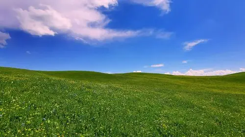 喀拉萨草原风景