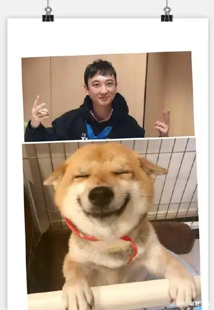 突发:王思聪骂战女主角孙一宁道歉 疑似为进军娱乐圈铺路