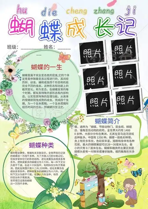 蝴蝶的蜕变过程手抄报蝴蝶一生的各个阶段手抄报 初一生物手抄报蝴蝶