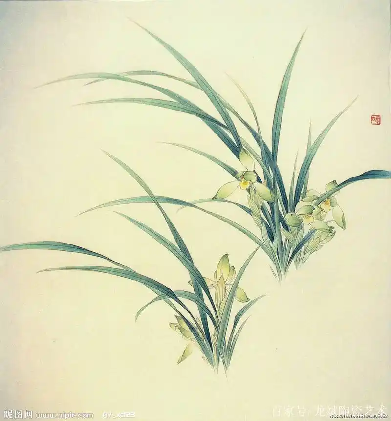 幽谷兰香——国画工笔兰花