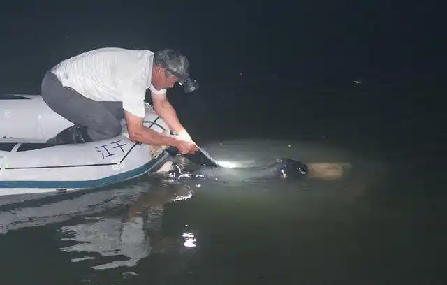 黄河边的捞尸人虽是收钱办事但有些尸给再多都不捞这是规矩