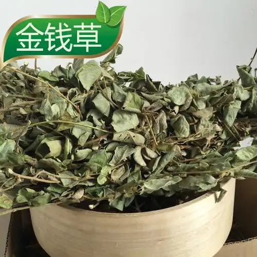 广西野生金钱草新货上市中药材金钱草干大叶金钱草500克结石茶