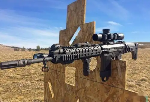 fal的儿子美国dsaarms公司sa58步枪图集