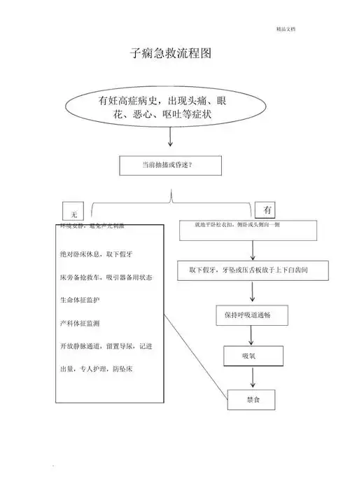 子痫急救流程图