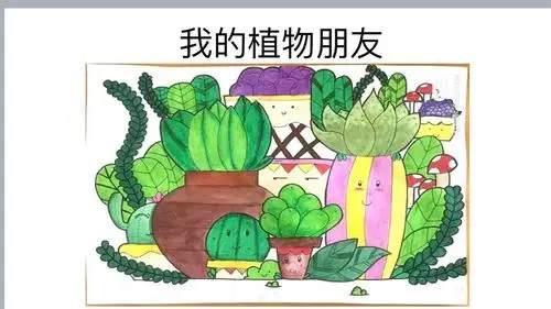 与植物朋友的约会——三年级植物记录卡展示
