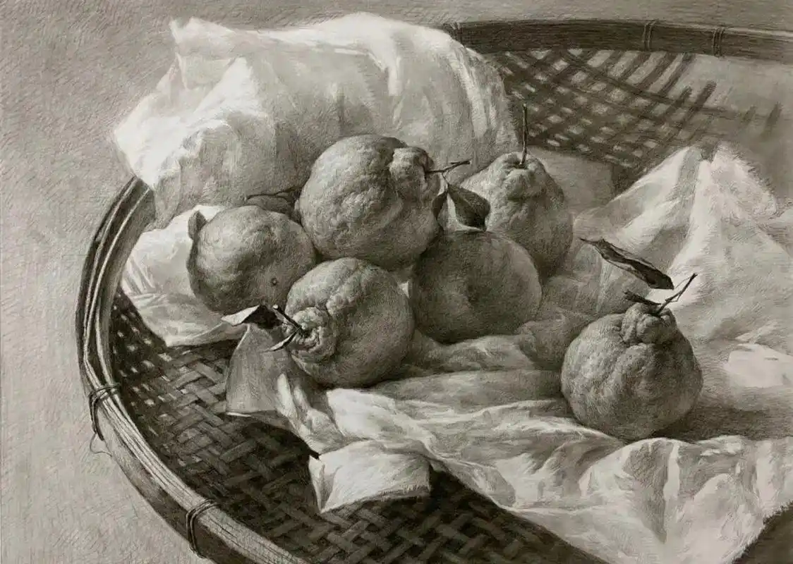 静物素描‖橘子塑造