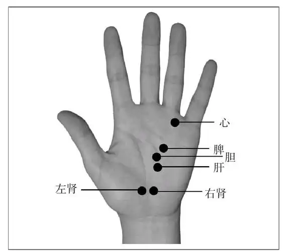 百病全息按摩疗法图解