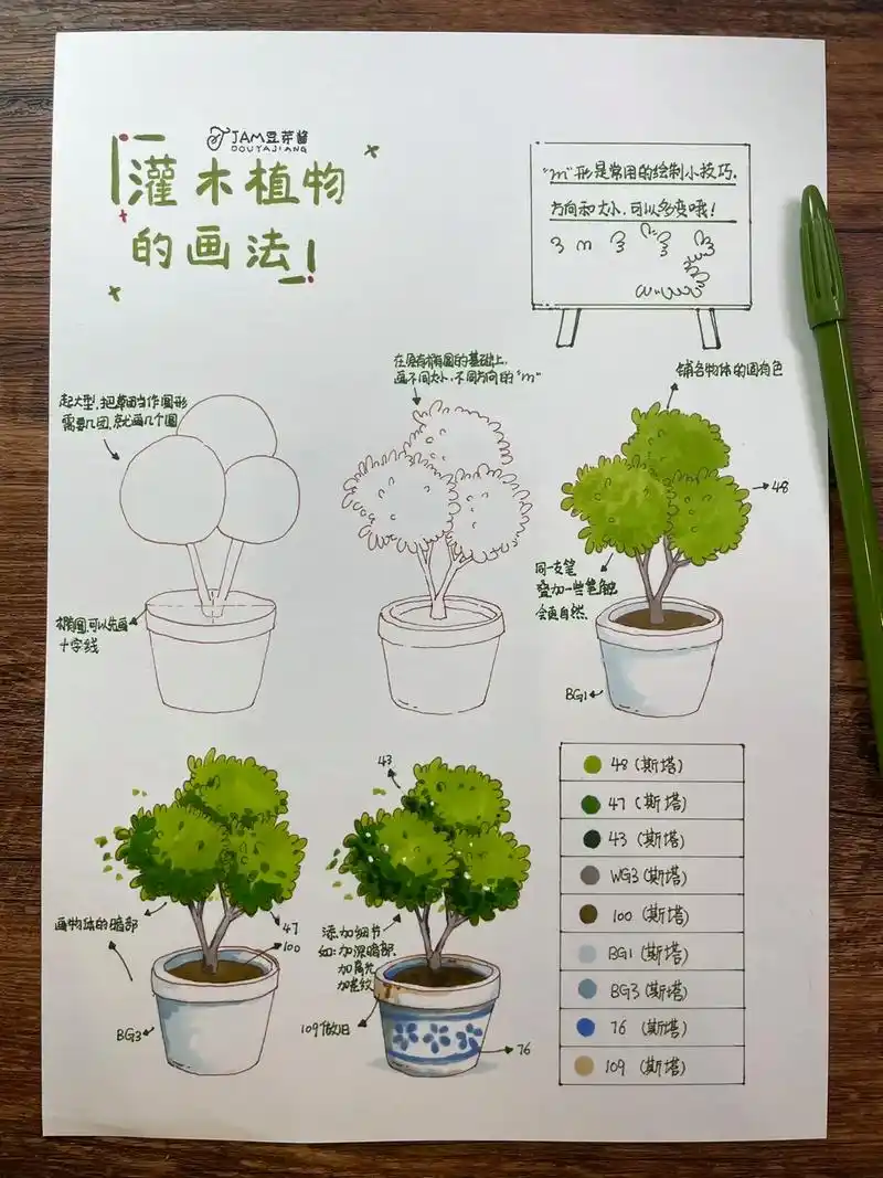 灌木植物的画法 | 马克笔手绘.#画画 #简笔画 #手绘 # - 抖音