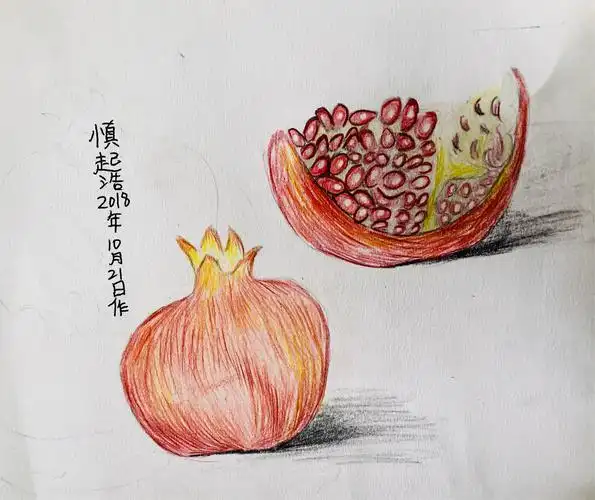 知识目标:石榴的画法,并能用素描