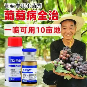 葡萄专用农药杀菌剂霜霉病灰霉病白粉病房枯病黑痘病咪鲜胺乙蒜素
