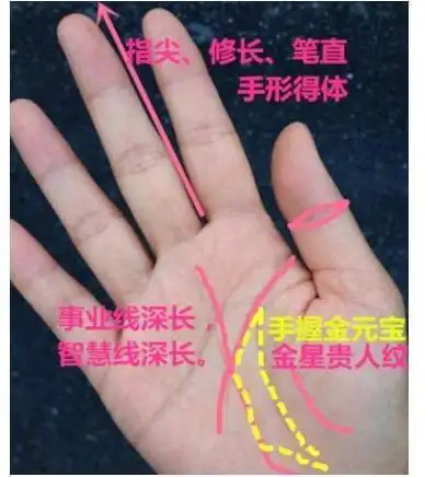 老板命的手相是指,事业线和智慧线较长,为人聪慧,慧眼独具,事业运旺盛