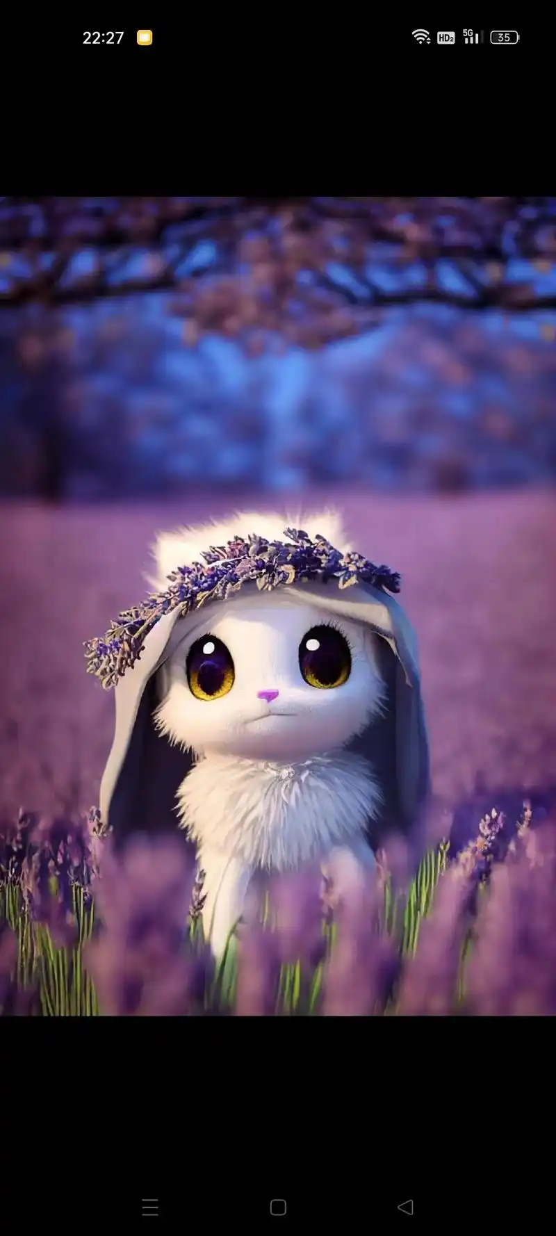 呆萌宠物兔#萌宠日常记录#萌宠成精了#可爱的宠物兔图片大全 - 兑音