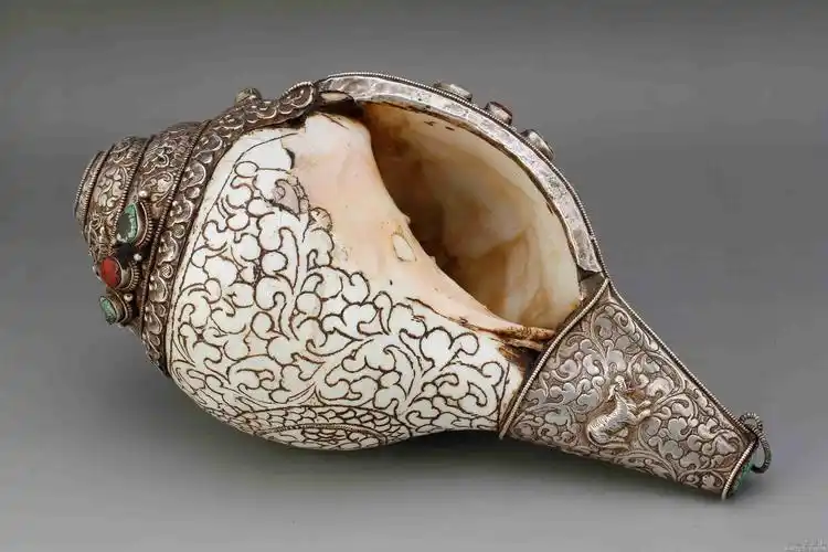 清-白贝壳镶银法螺s1427