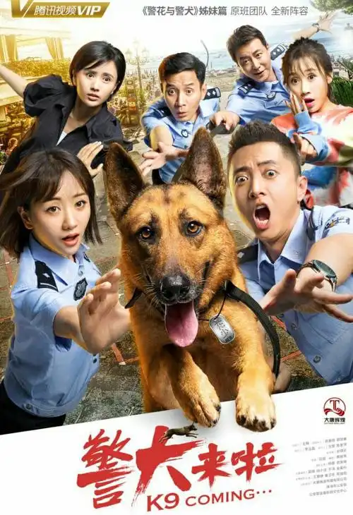 你都看了吗 双击78