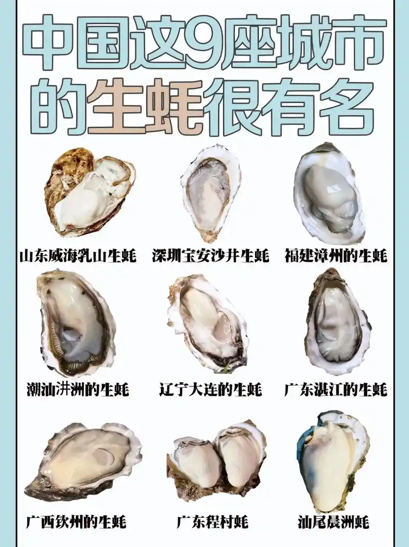 生蚝爱好者必需了解的生蚝知识.