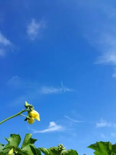 如何用手机拍出最真实天空