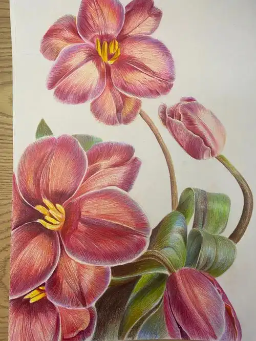 休息日终于把这张画完啦#彩铅手绘