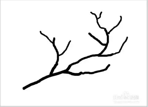 树枝笔刷树枝简笔画图片大全第23组大树 树 树木 树枝 矢量树木 树叶