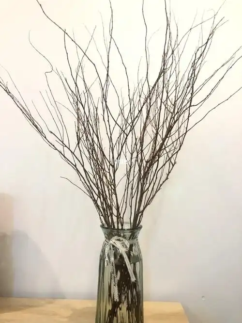 干枝雪柳需要剪根吗