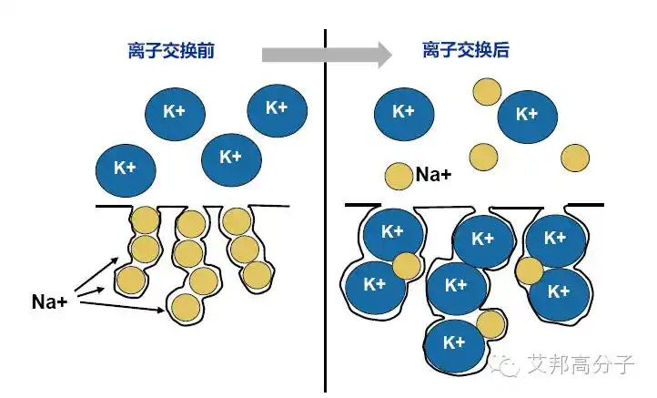 强化过程-离子交换示意图