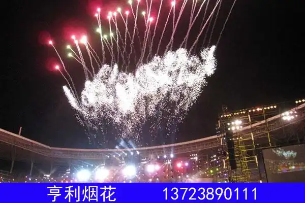 百色市有实力的人防演习烟火