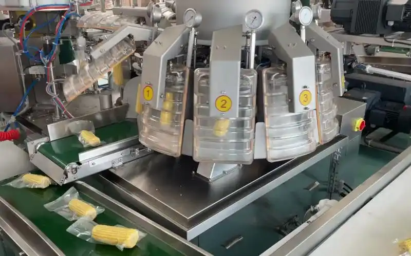 一款既能包装拇指玉米又能包装黄玉米的给袋式真空包装机 速冻玉米粒