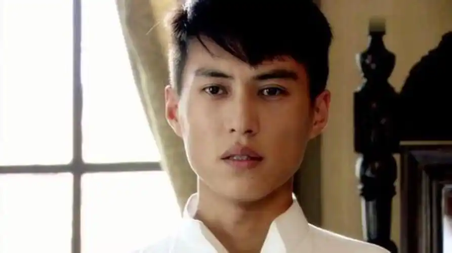 靳东 闯关东 龟田一郎