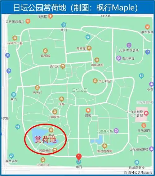 北京市内,荷花进入最佳观赏期,这7个市区公园赏花机位详细推荐