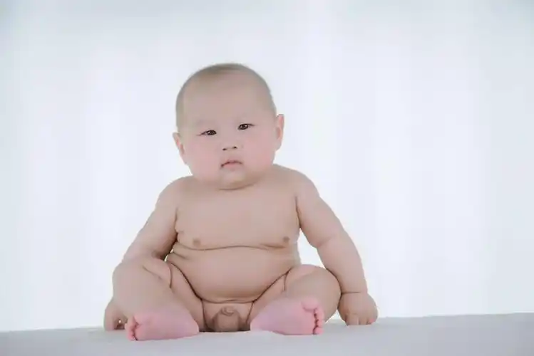 我家可爱的小胖子