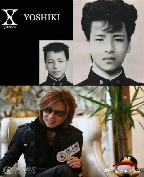 如果要给樱木花道找一个原型,是不是罗德曼?