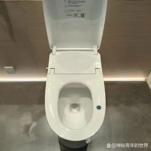 九牧zd6300水箱泵冲智能马桶介绍