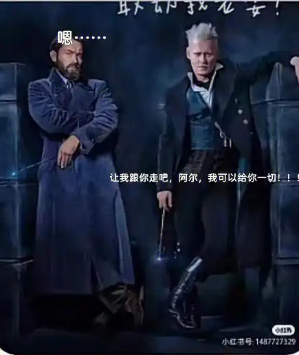 哈迷  #格林德沃  #ggad  #薯小虎过暑假  #邓布利多  #哈利波特