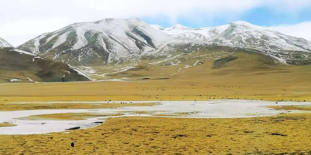 西藏游～青藏高原雪域风光