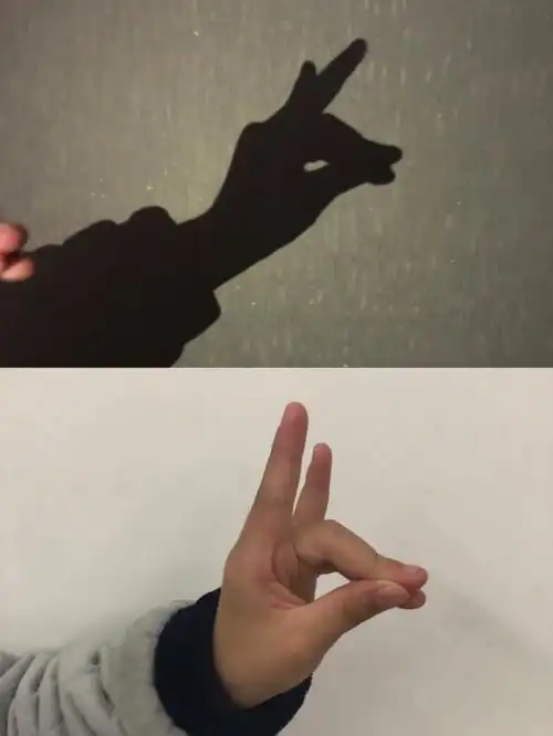 快乐的手影游戏