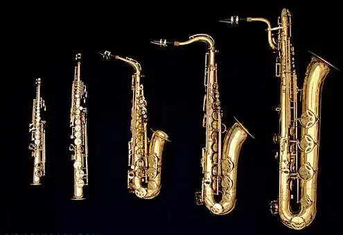 如果不知道自己的萨克斯是次中音还是什么中音怎么办?